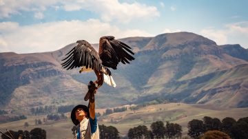 A unique and extreme vacation package to an eagle hatchery